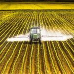 Glyphosate: Unveiling the Potential Health Risks of a Controversial Herbicide