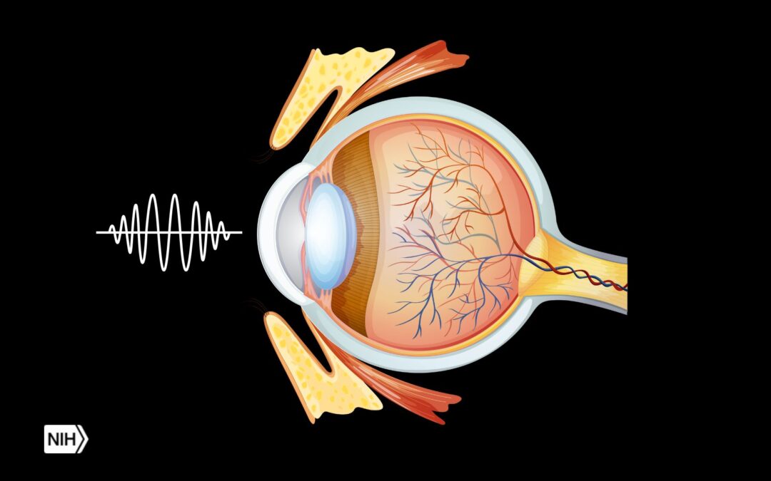 Eye Health and Frequency Healing: A Natural Approach to Vision Care