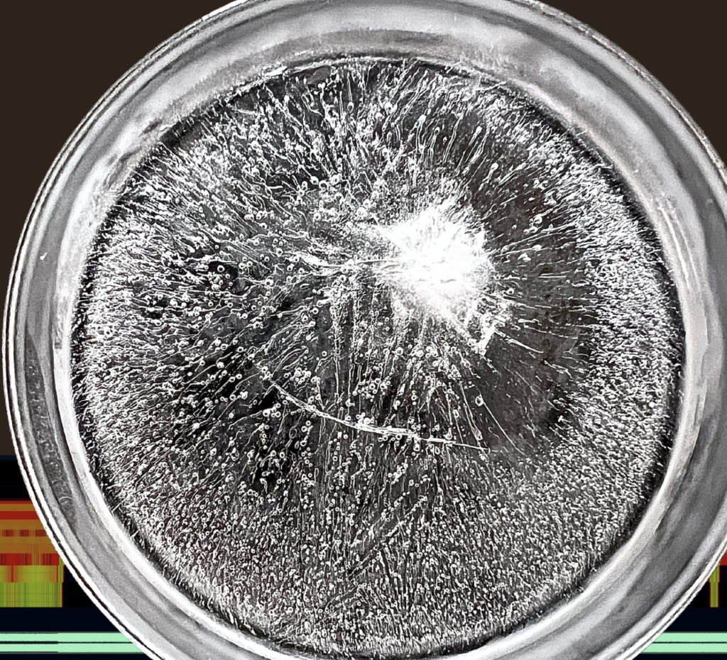 Mitochondrial Crystallography pattern