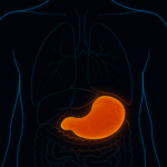 Visceral Fat Release – Cellular Activation & Detox Energetics